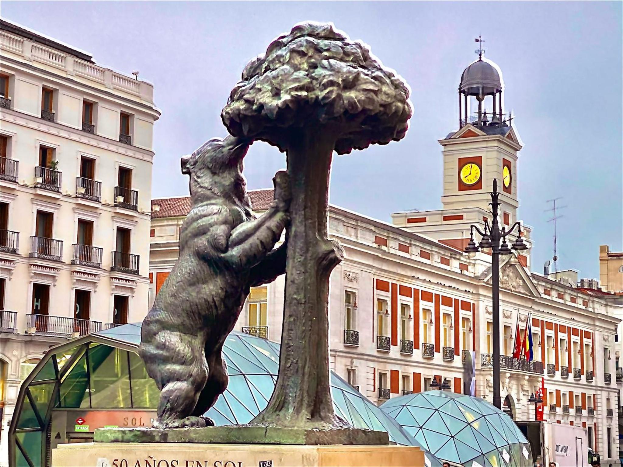 Homy Gran Via