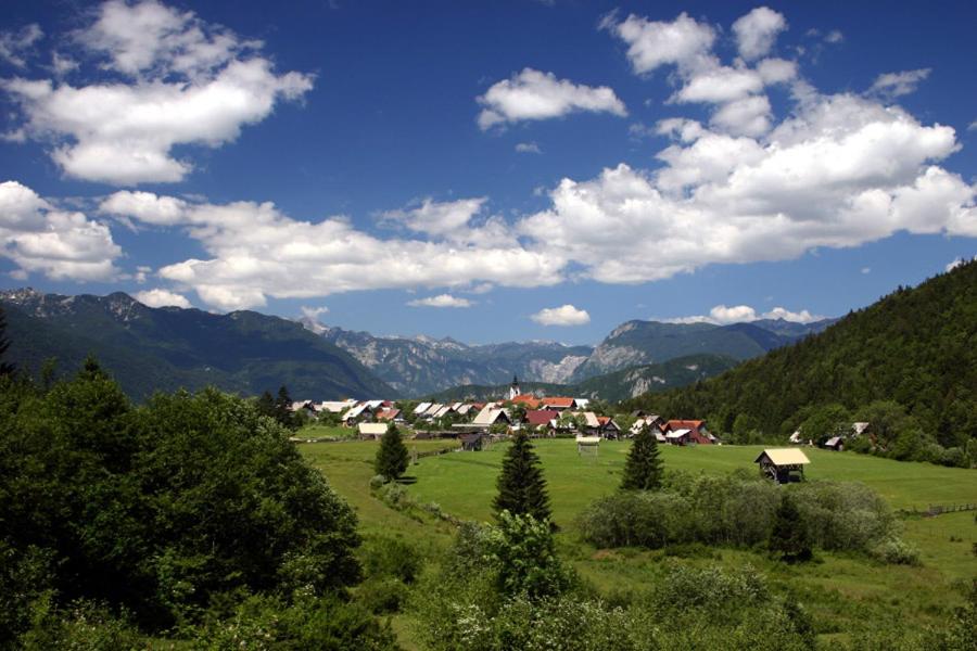 Photo 12