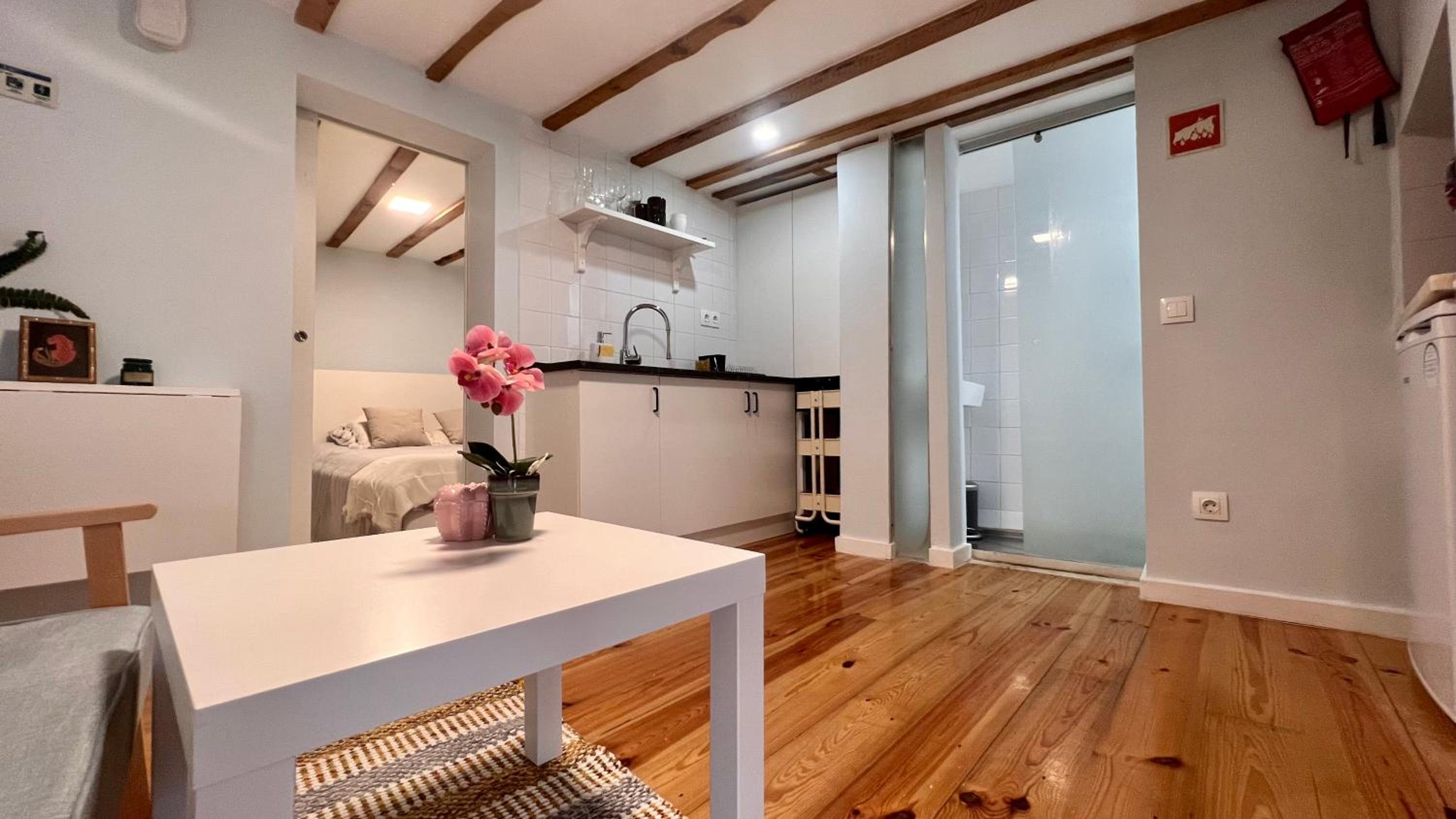 Loft Lisbon Alfama Apartment view 3