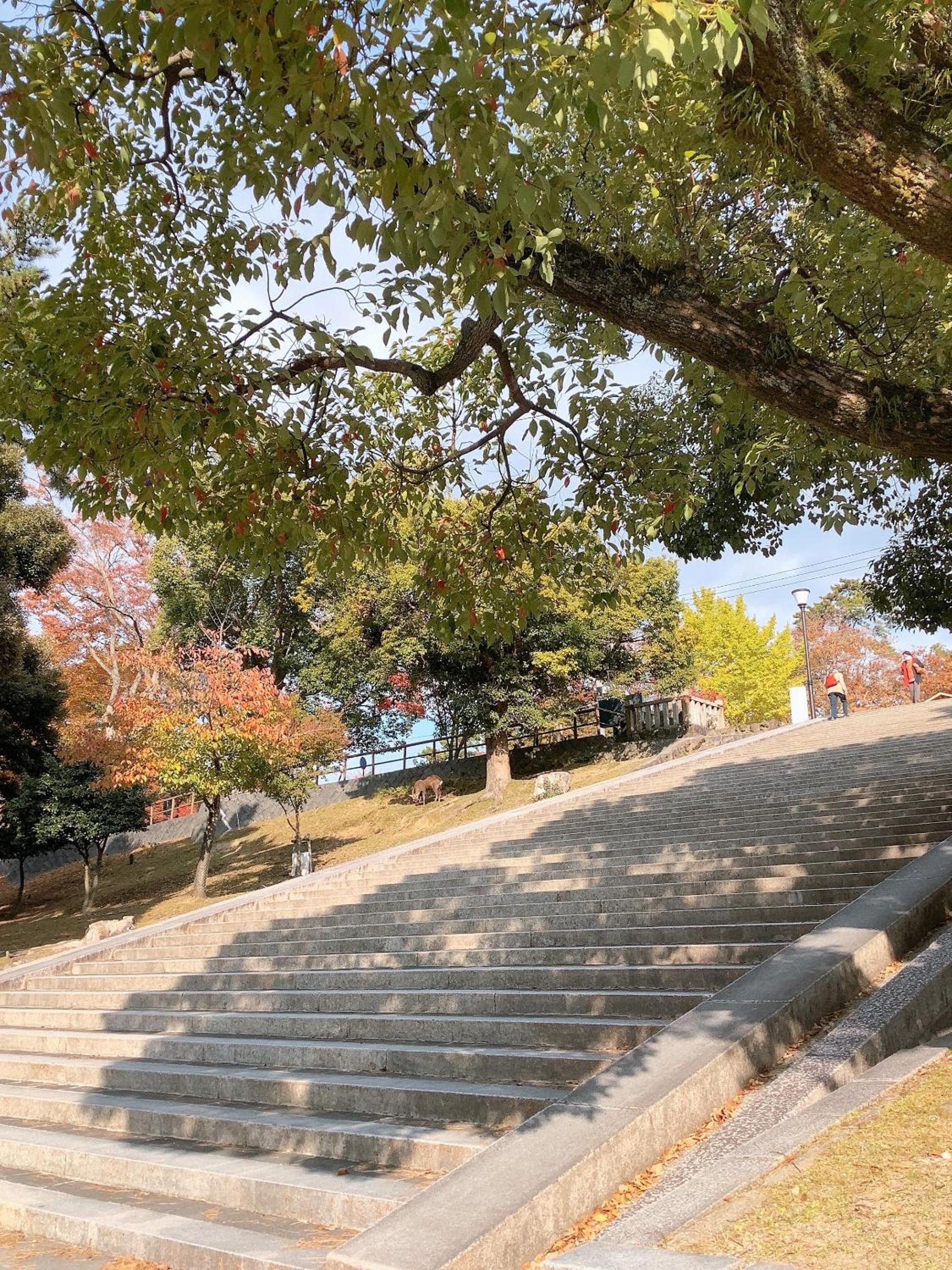 Ryokan Kousen