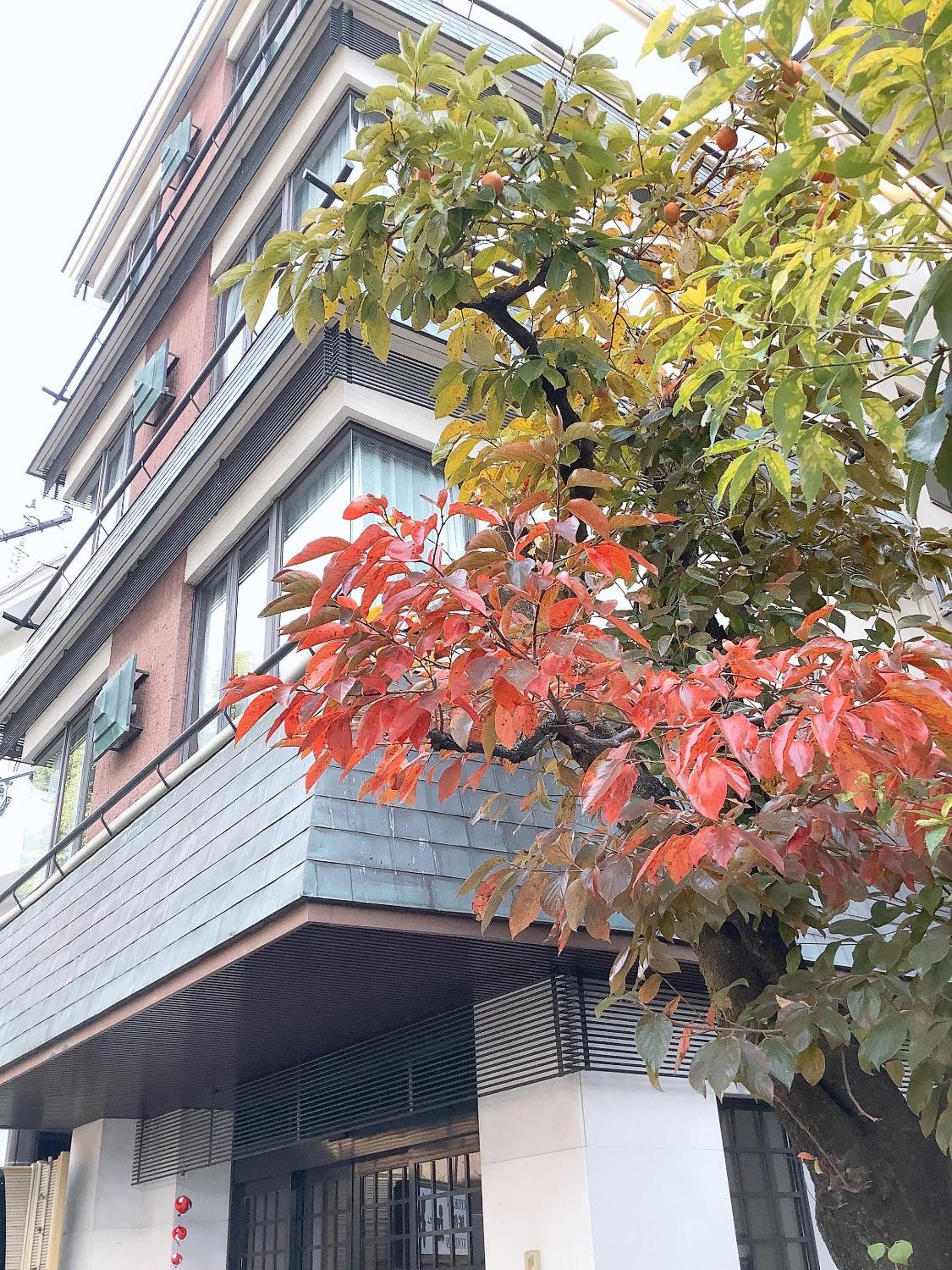 Ryokan Kousen