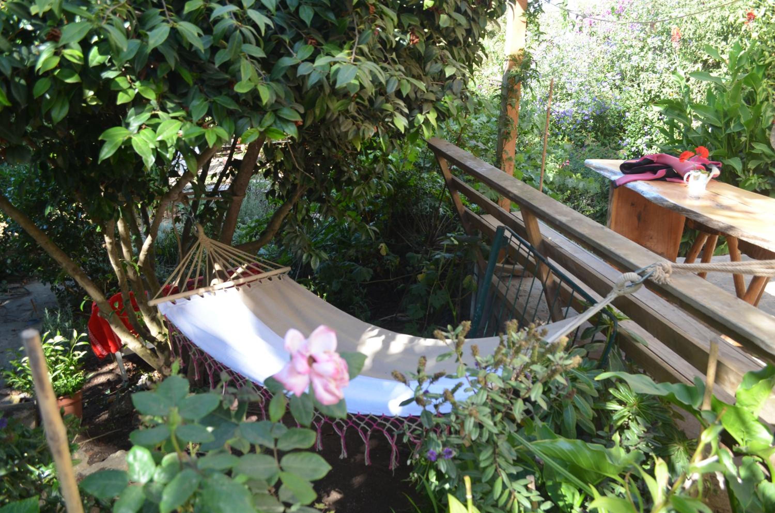 Hostel Moreno