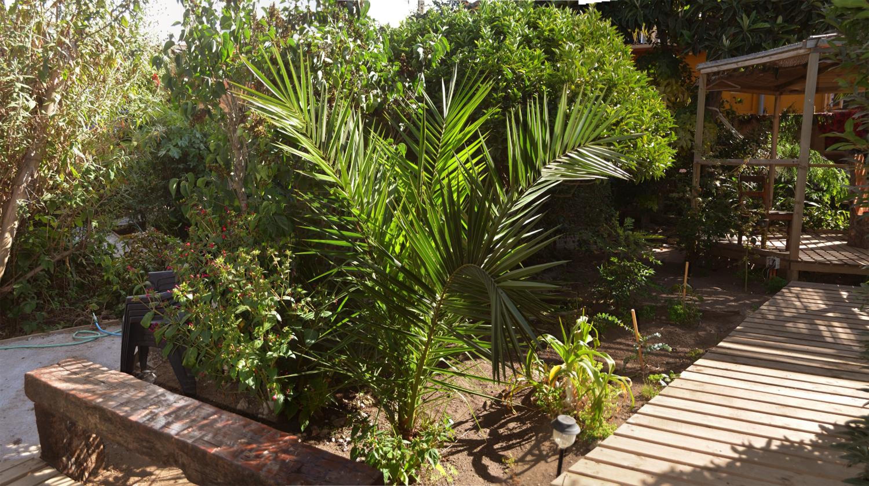 Hostel Moreno