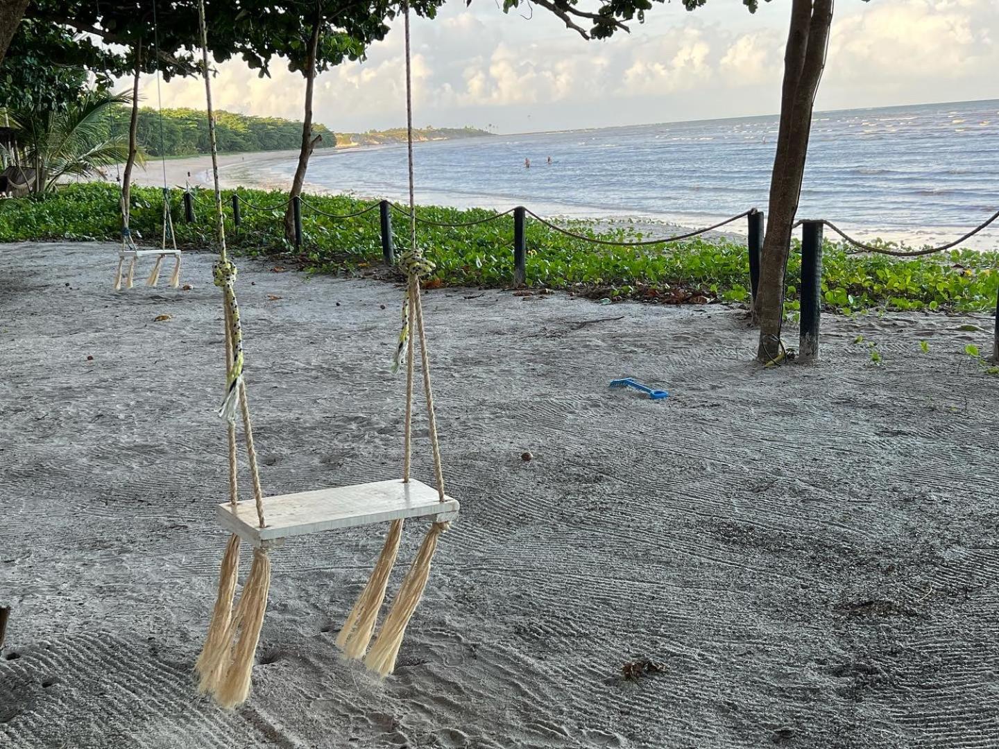 Cumuru pé na areia