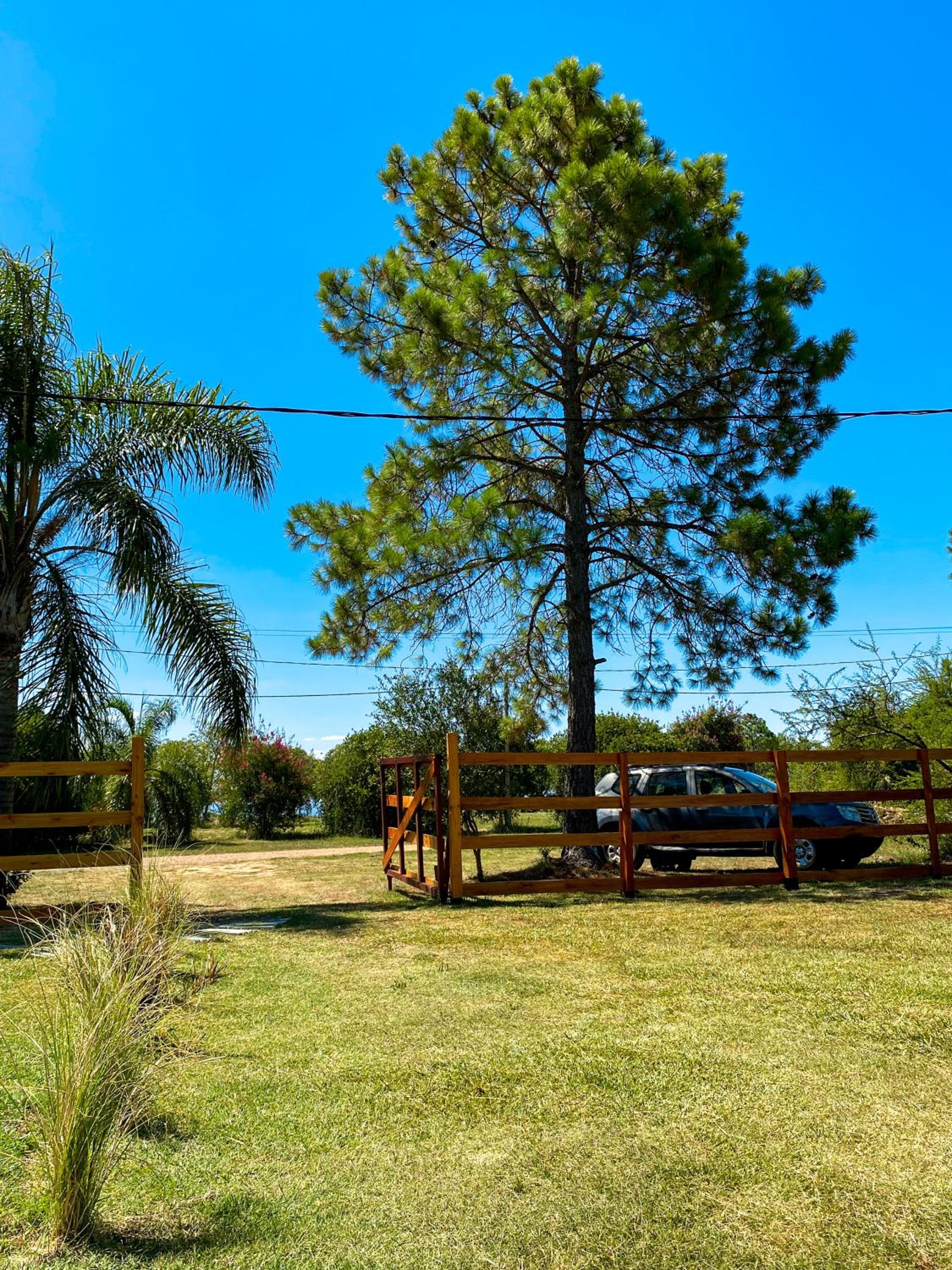 Pinares del Norte