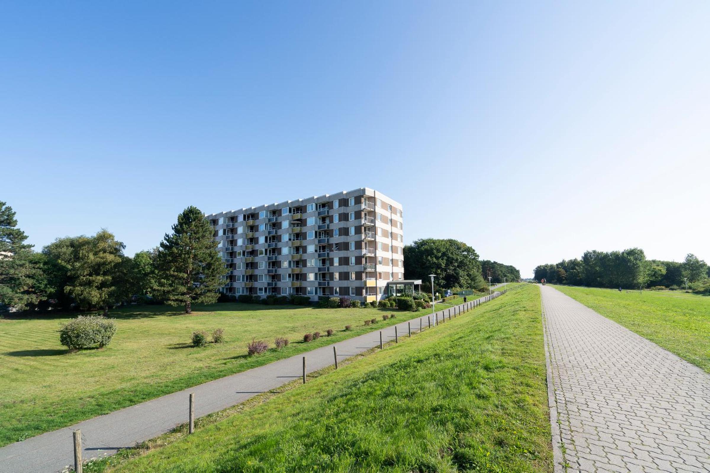 Hanseat Rotkehlchen