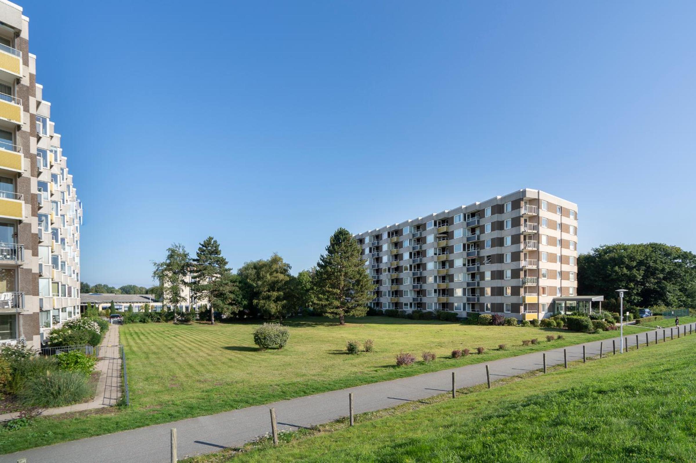Hanseat Rotkehlchen
