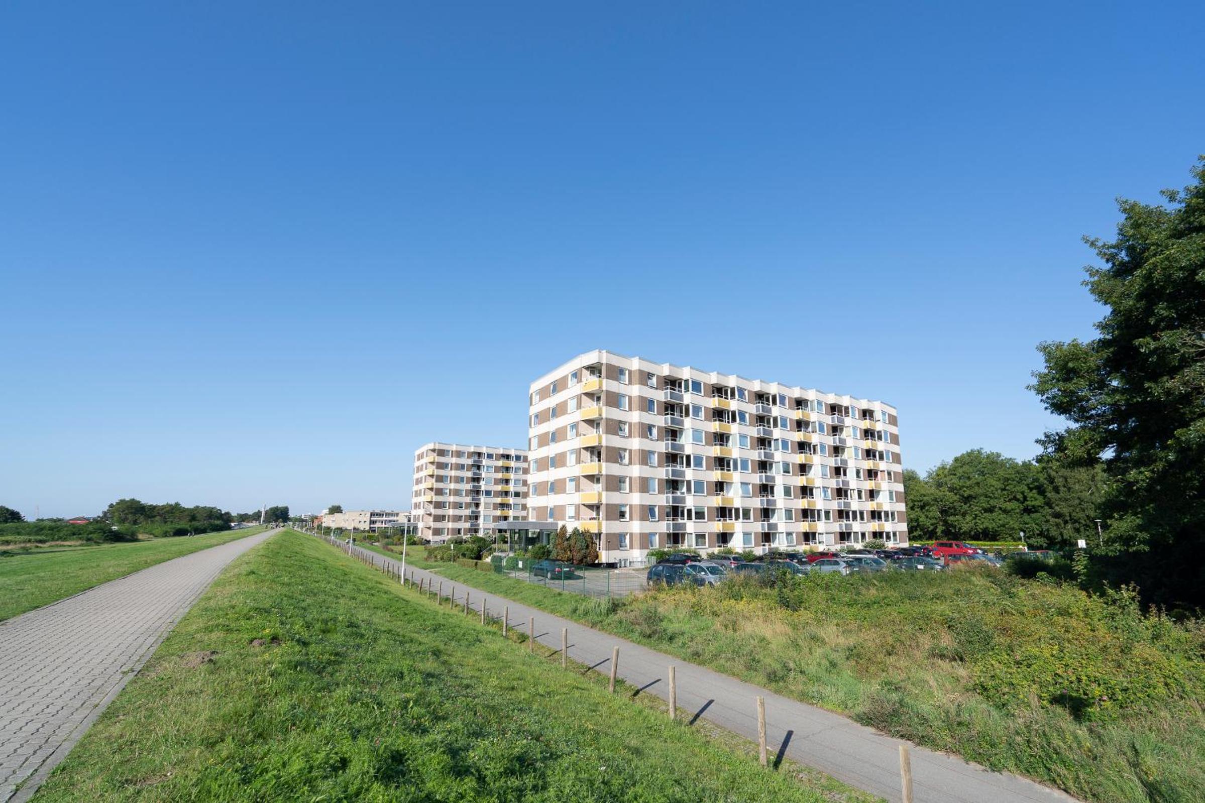 Hanseat Rotkehlchen