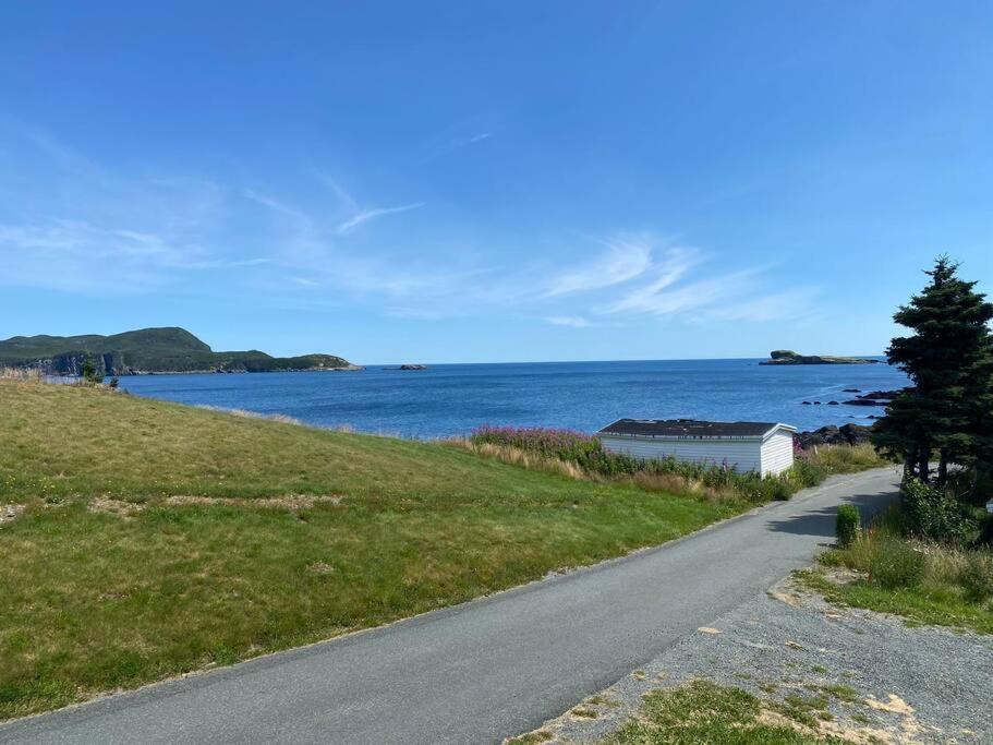 Ferryland Green House - Steps to Ocean!