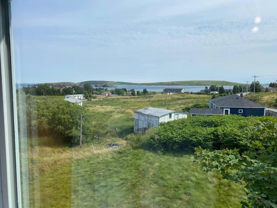 Ferryland Green House - Steps to Ocean!