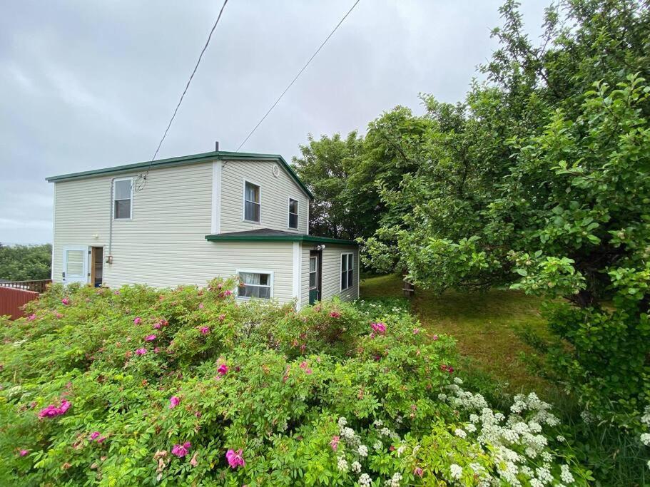 Ferryland Green House - Steps to Ocean!