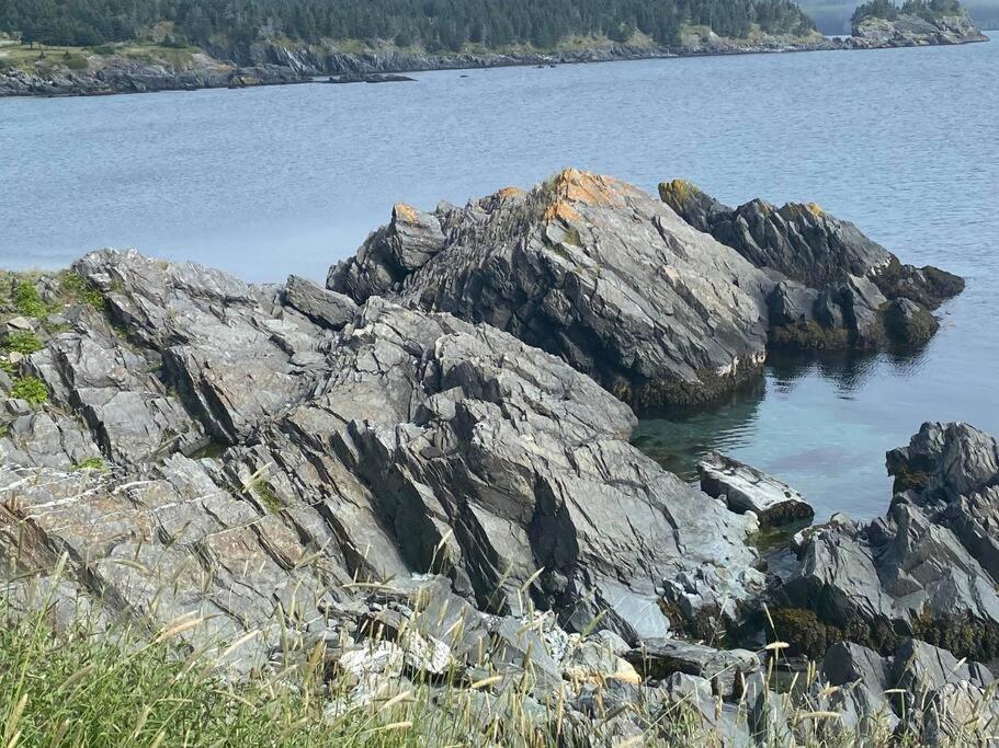 Ferryland Green House - Steps to Ocean!