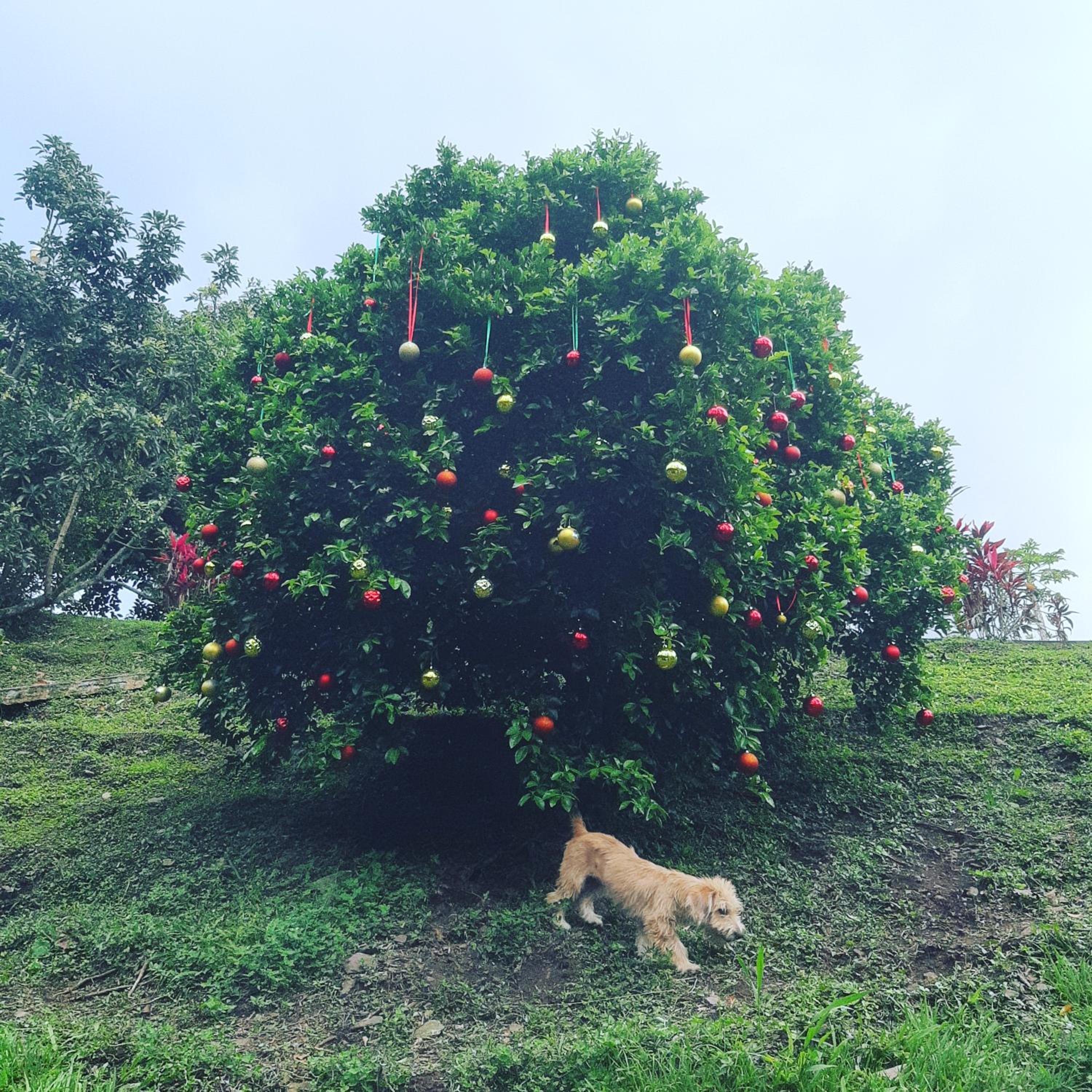Finca Pozo Azul