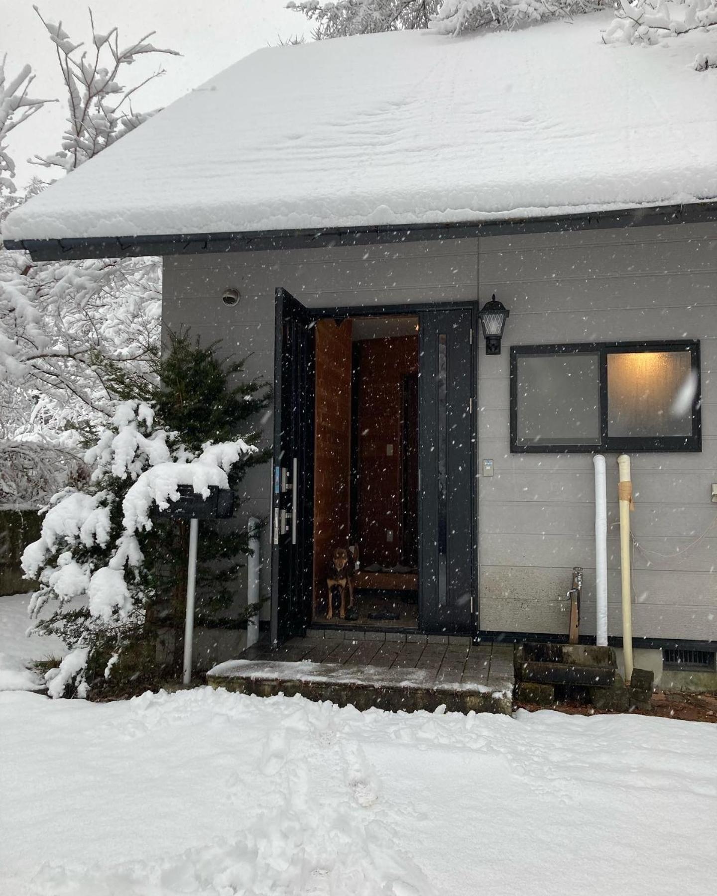 Hotel Breath in Earth