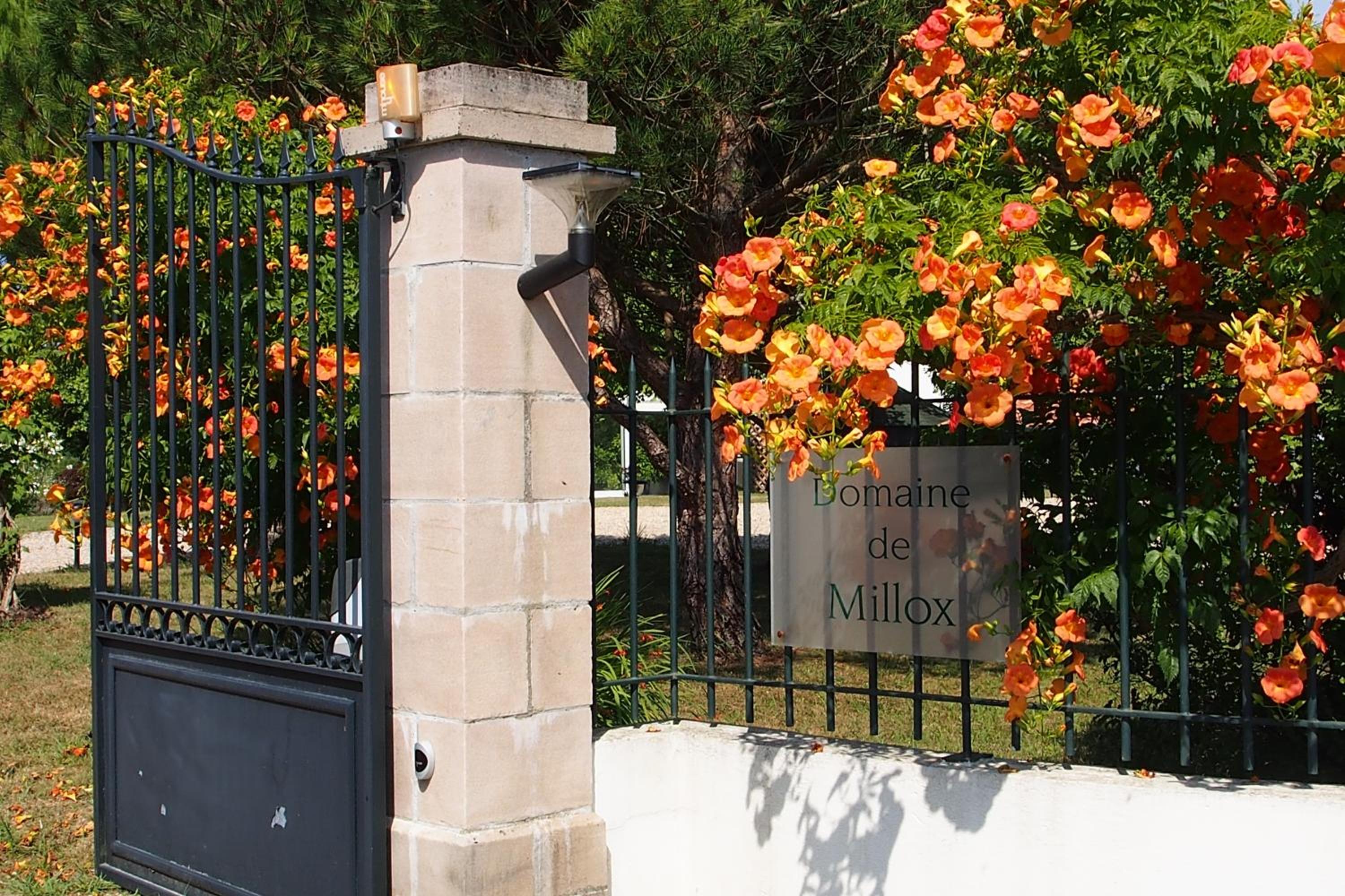 Domaine de Millox