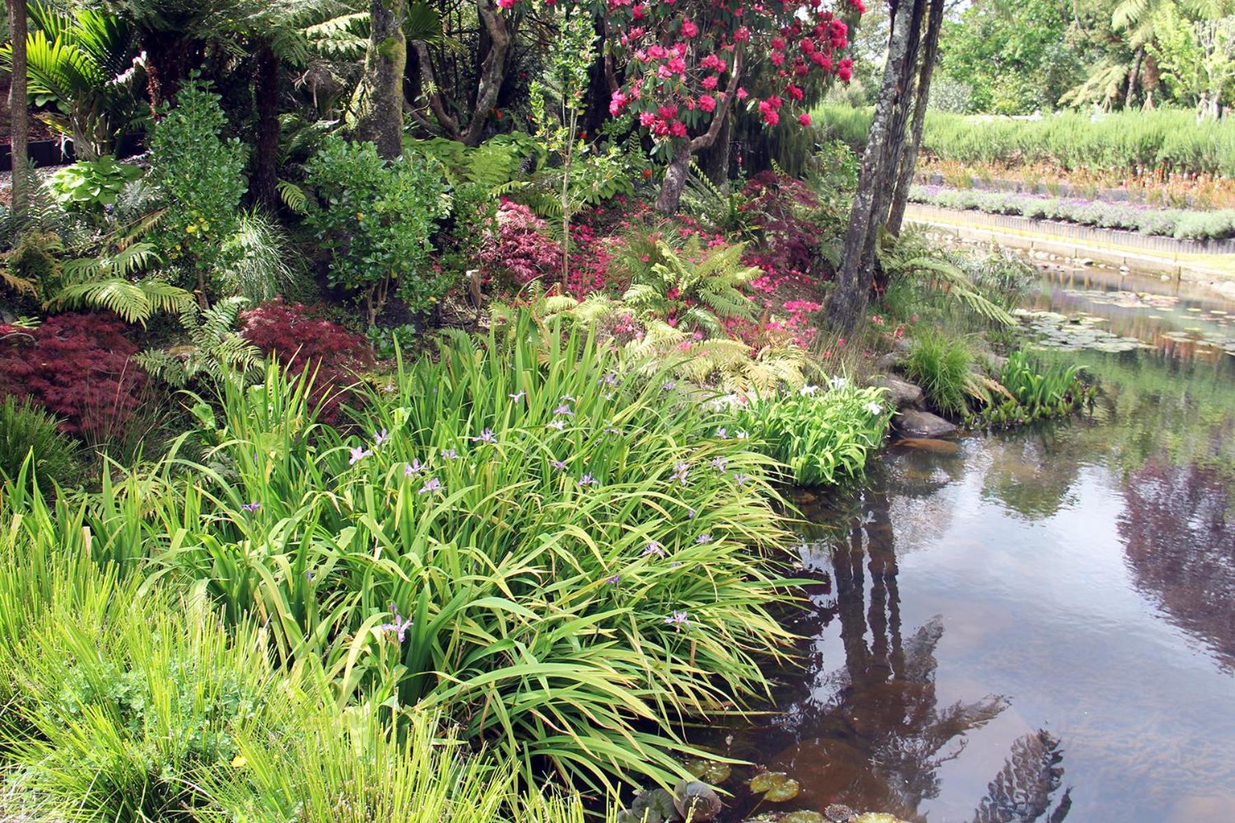 Brecon Pond Bed & Breakfast view 5
