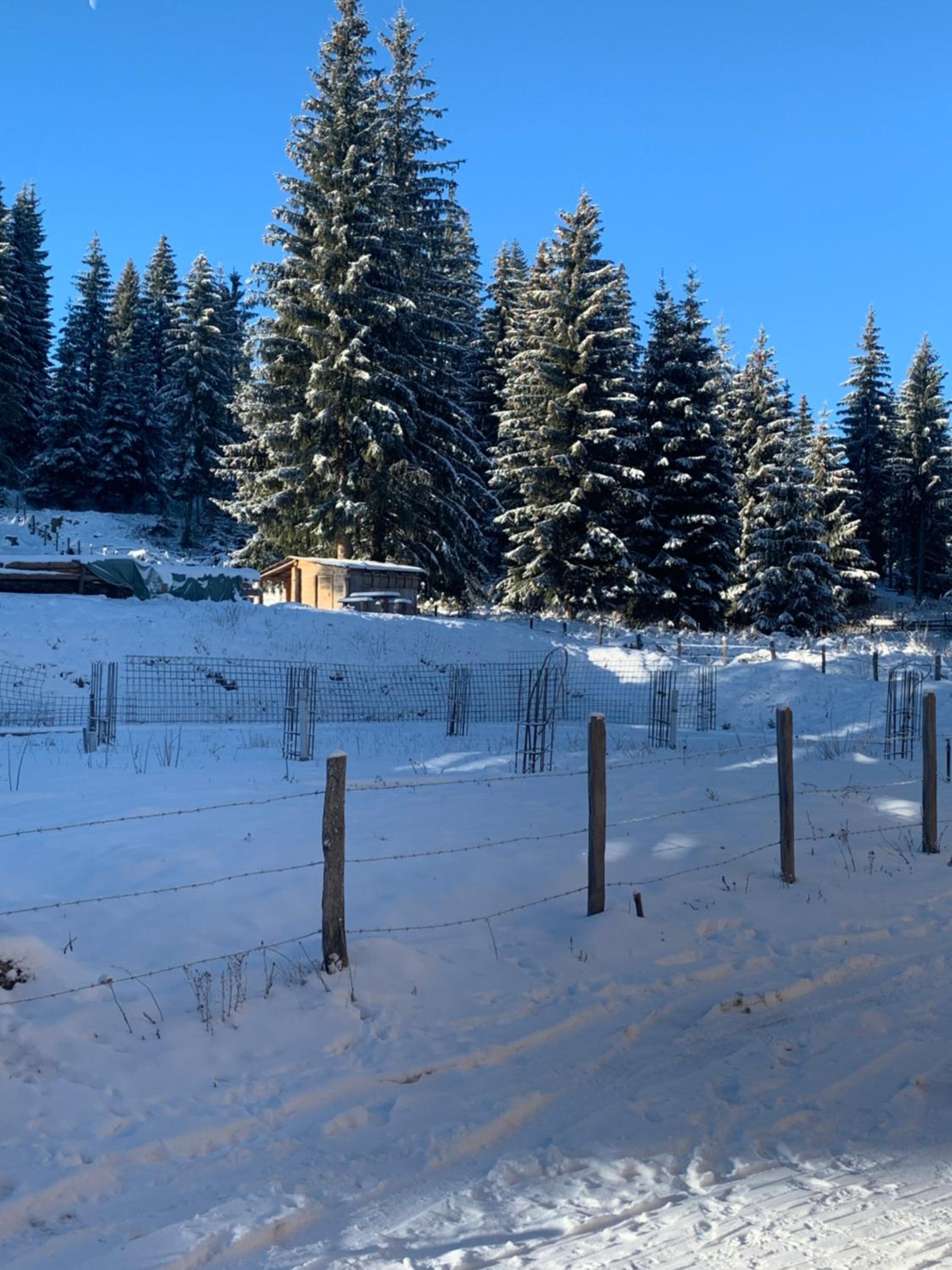 Studio apartman Winter Place