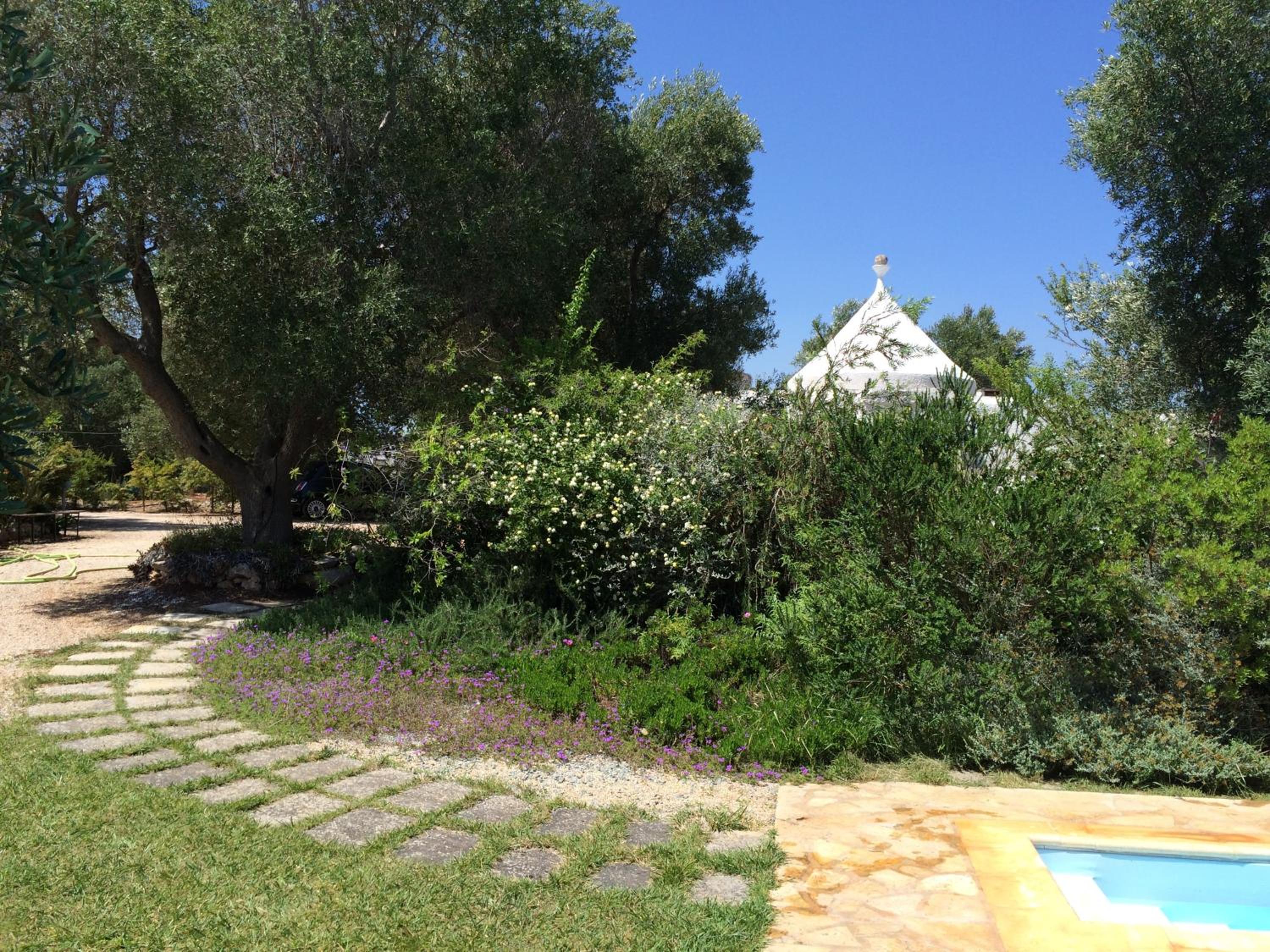 Photo 48