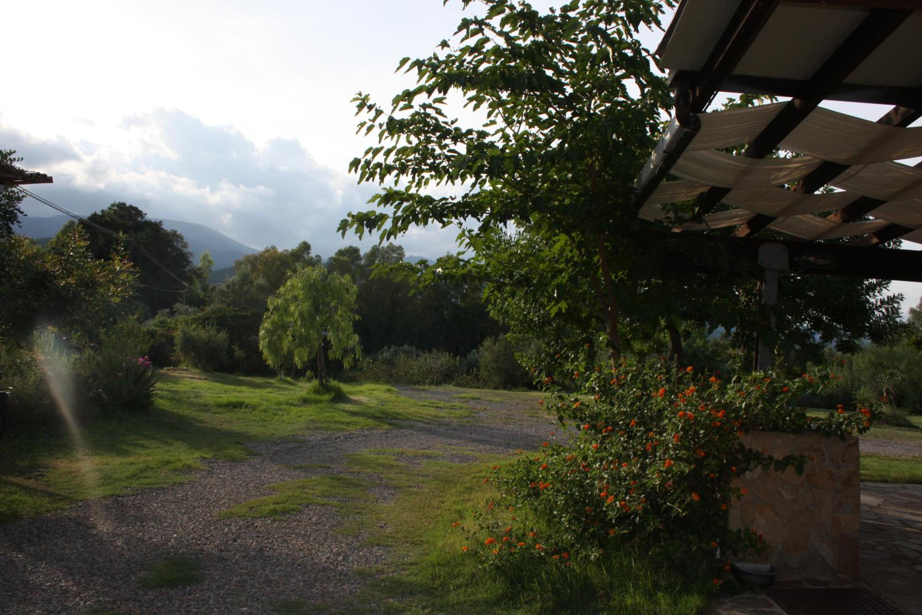 Photo 21