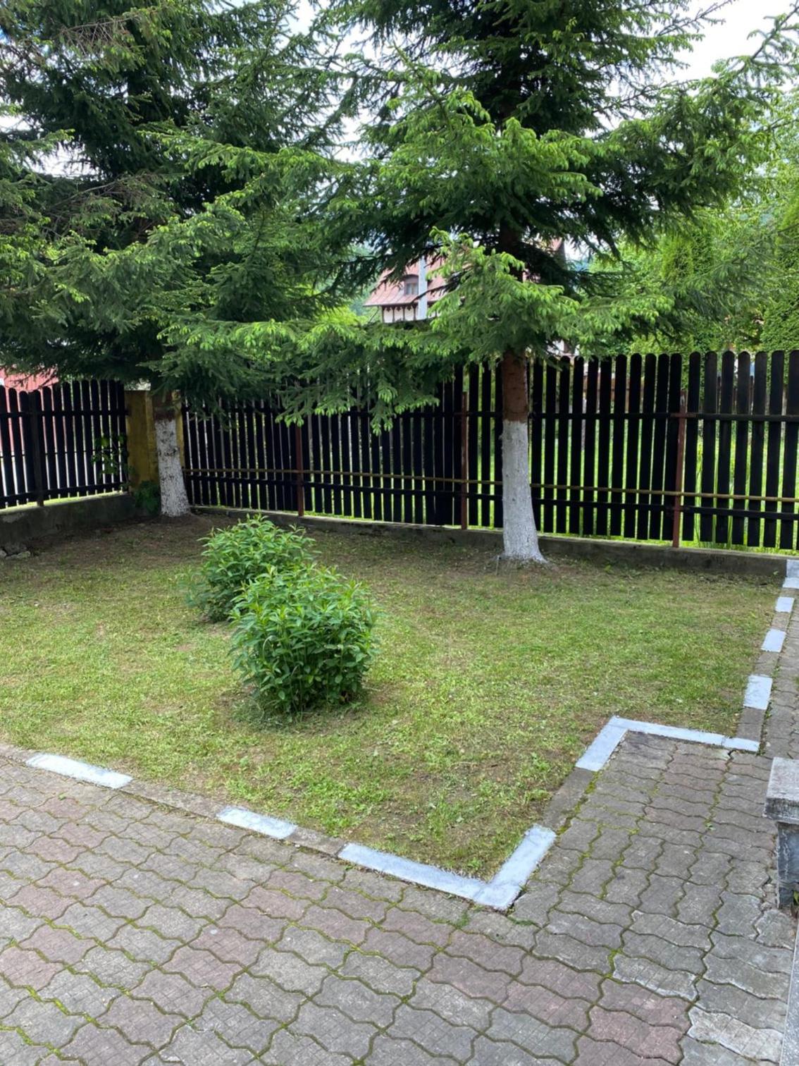 Vila Busteni DORA, locatie superba strada Grivitei 36 view 5