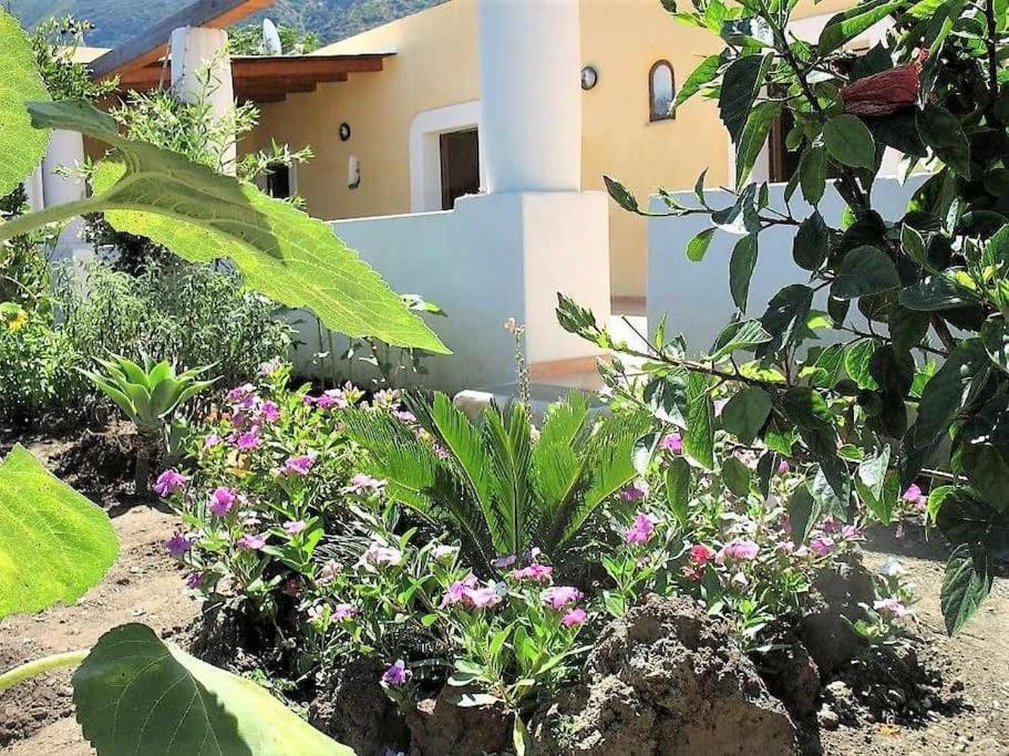 Casa Il Girasole, panoramica e a pochi passi dal centro di Malfa photo 3