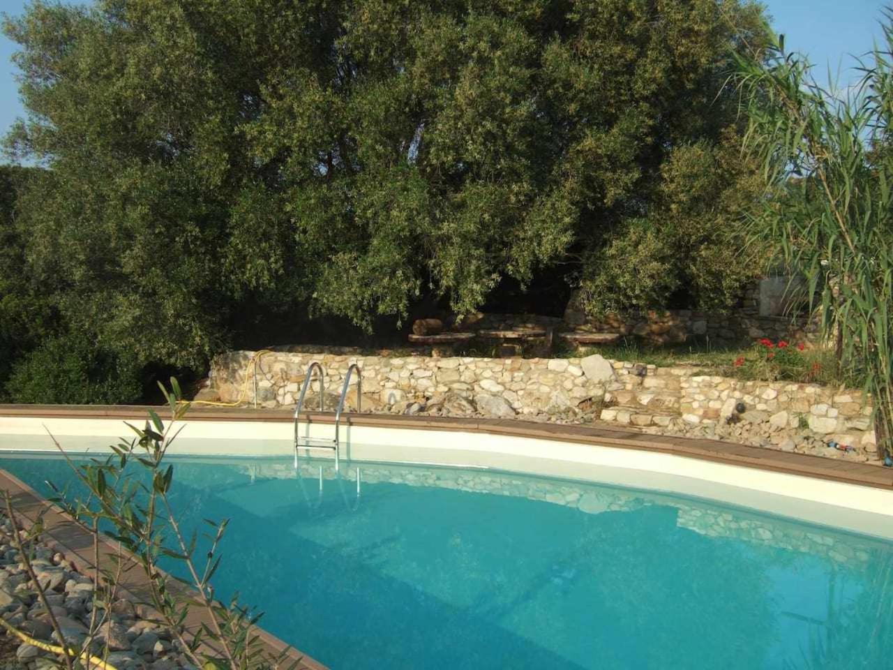 Photo 36