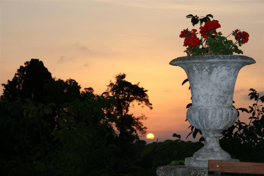 Château De Massignan