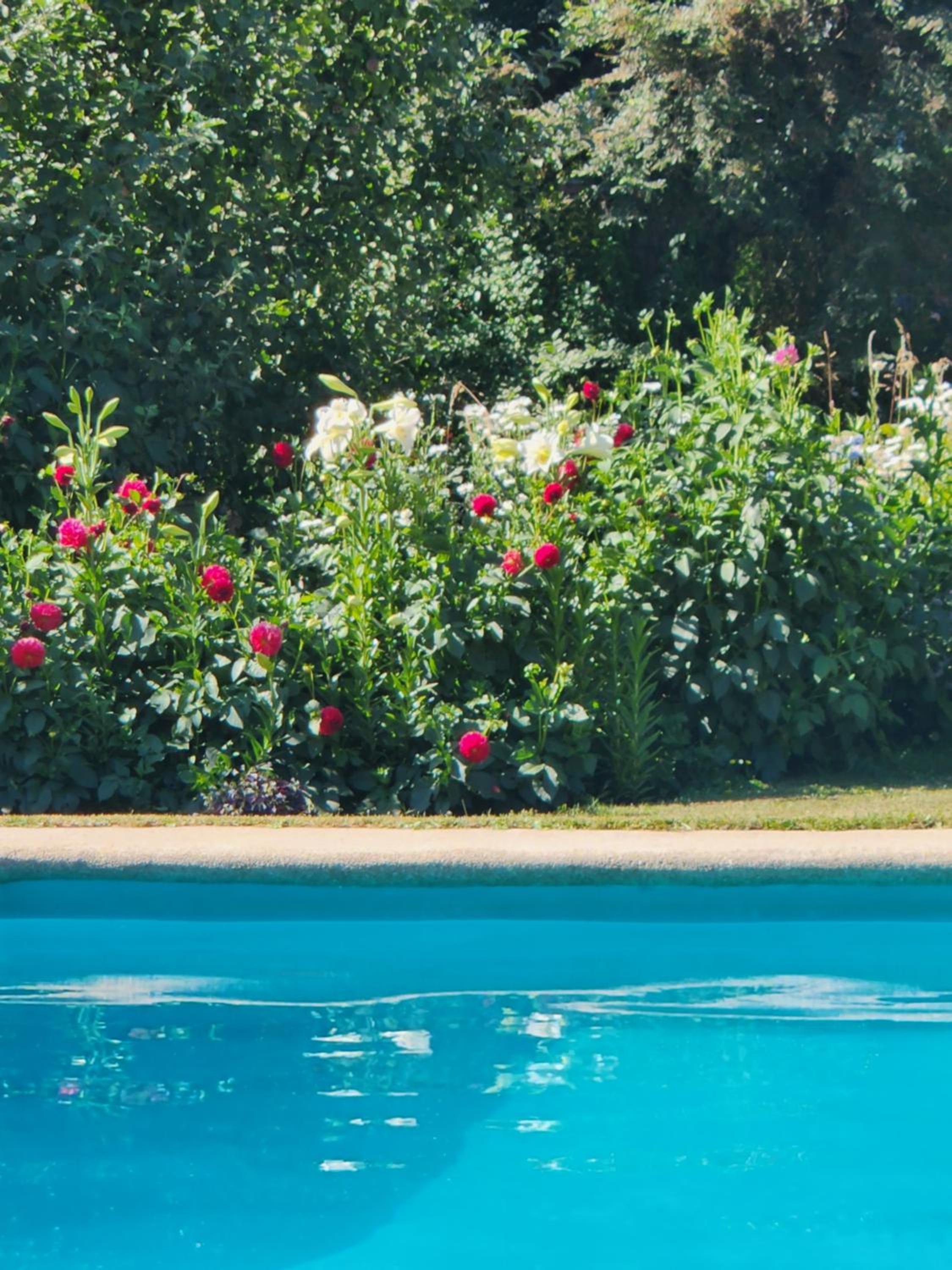 Casa verano piscina Villarrica