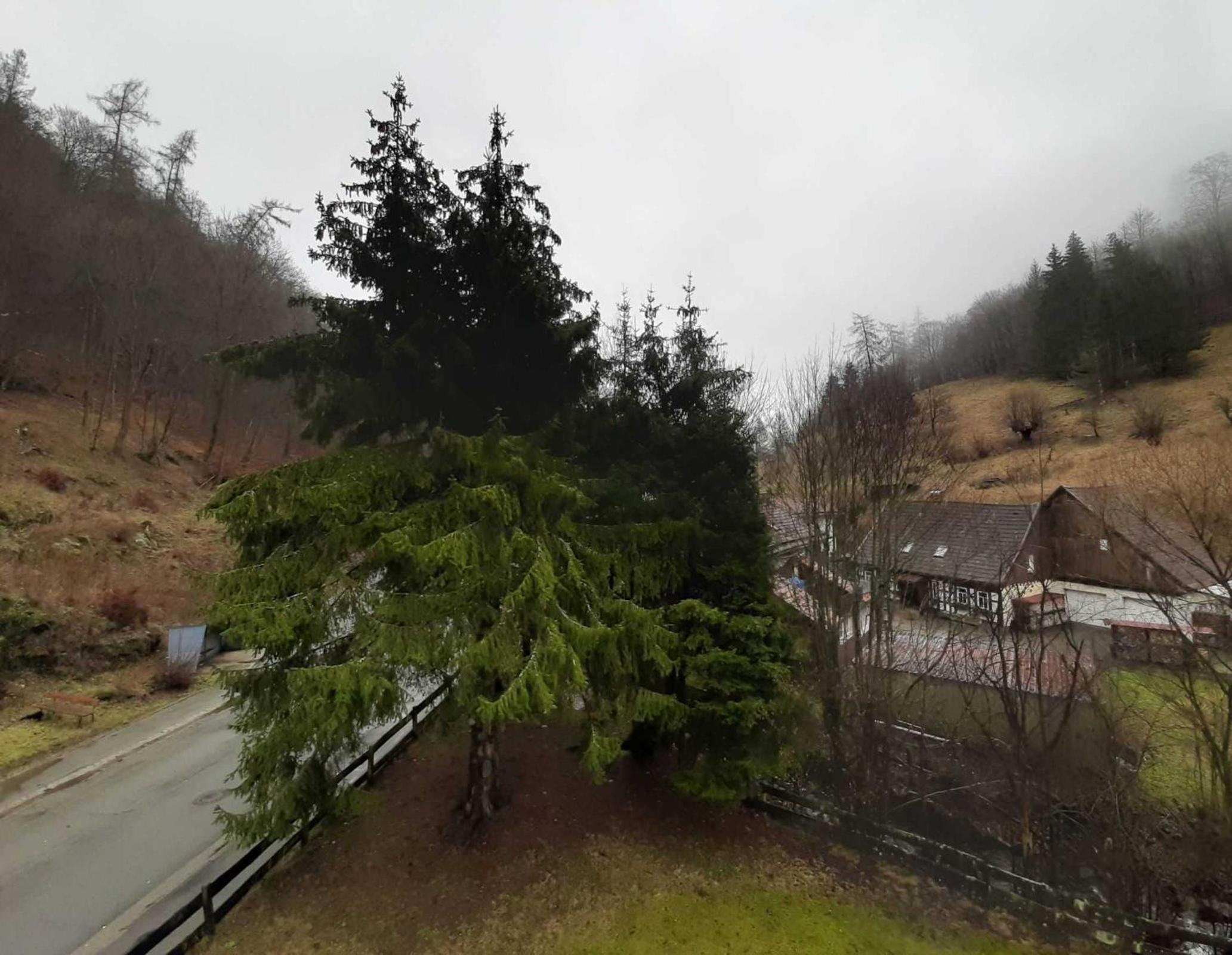 Haus am Wolfsbach