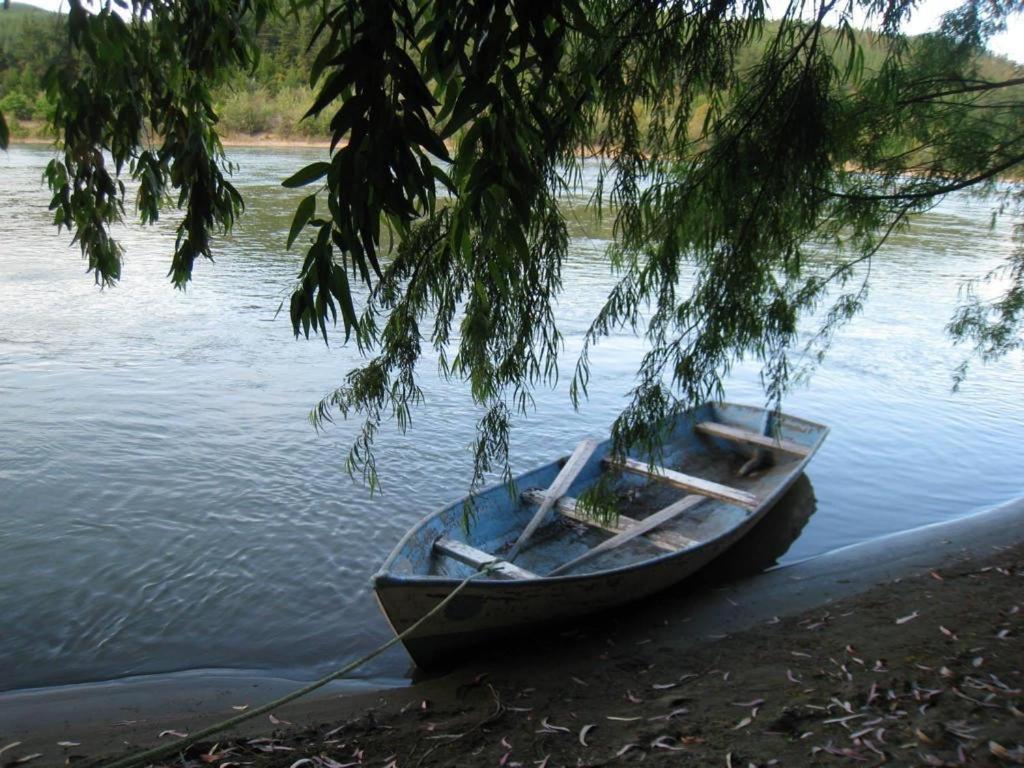 CABAÑA RIO MAULE Forel