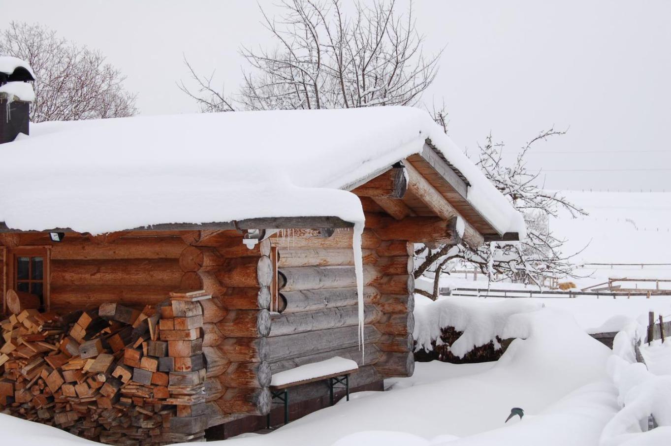 Best Butler Alp Villa 11 Personen I Blockhütte I Parken I Lagerfeuer I Netflix