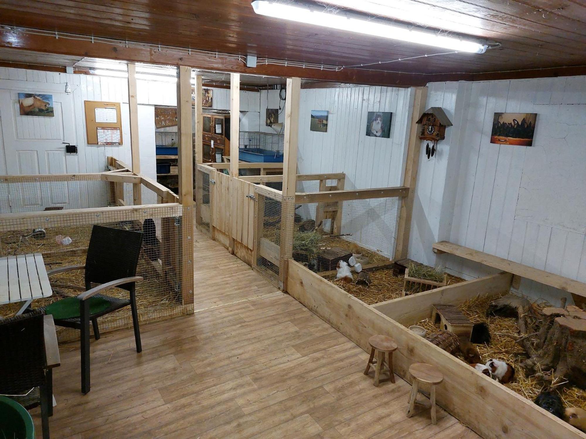 Photo 42
