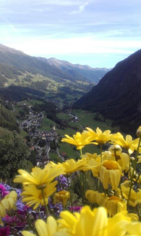 Ferienwohnung Hohe Wand