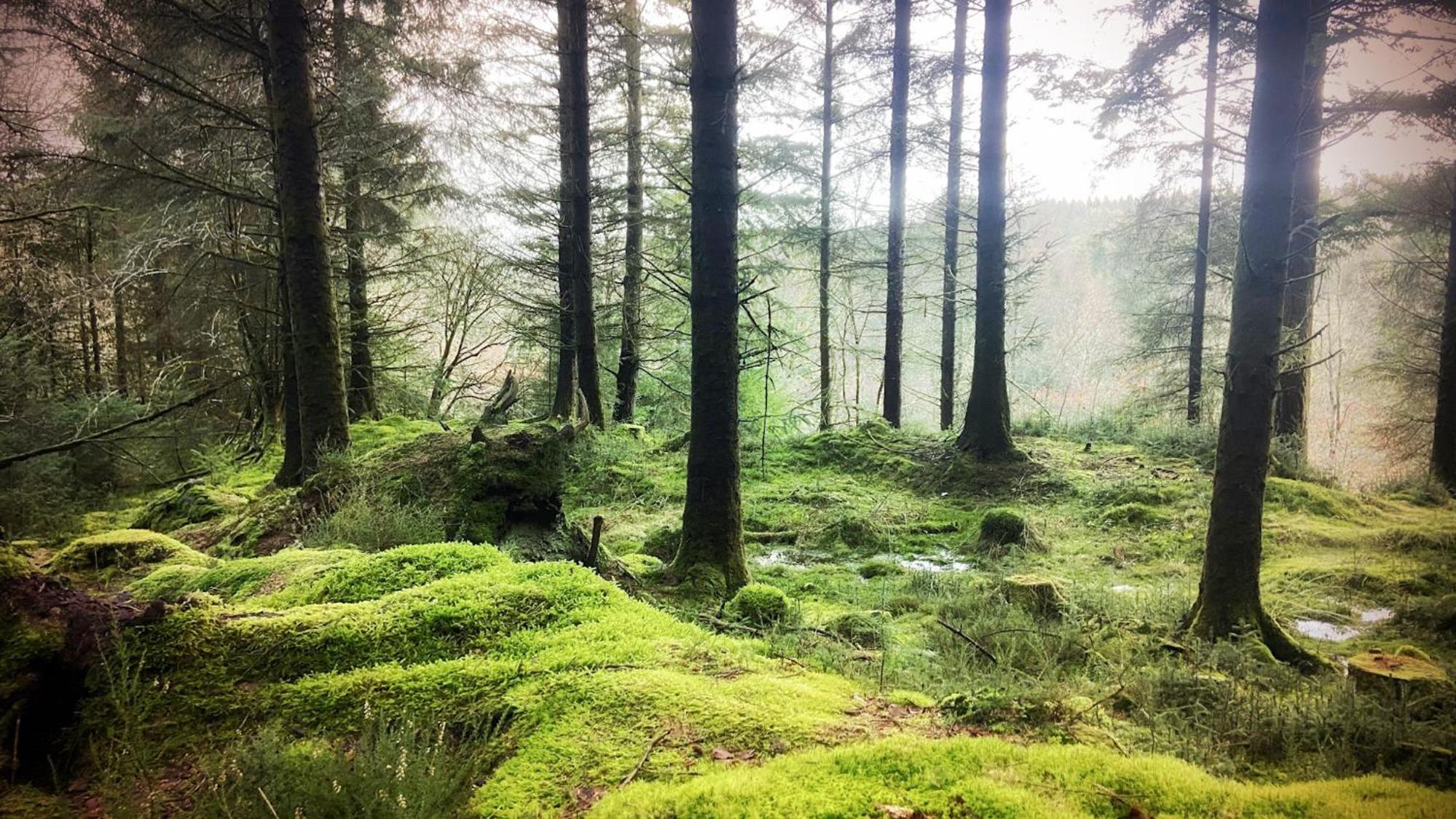 Inversnaid Bunkhouse