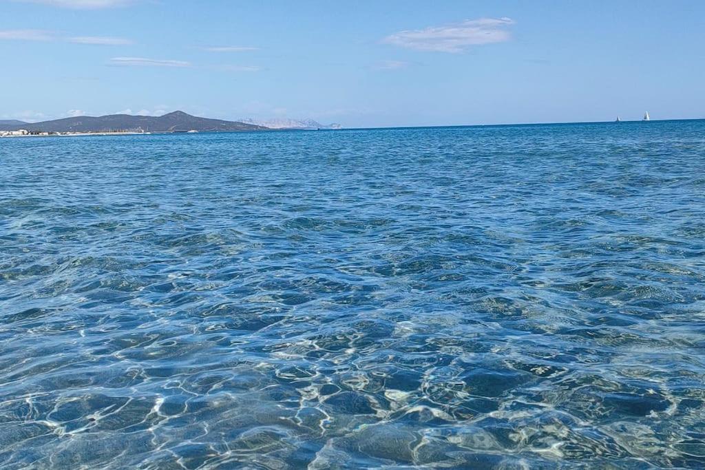 Appartamento Miramare