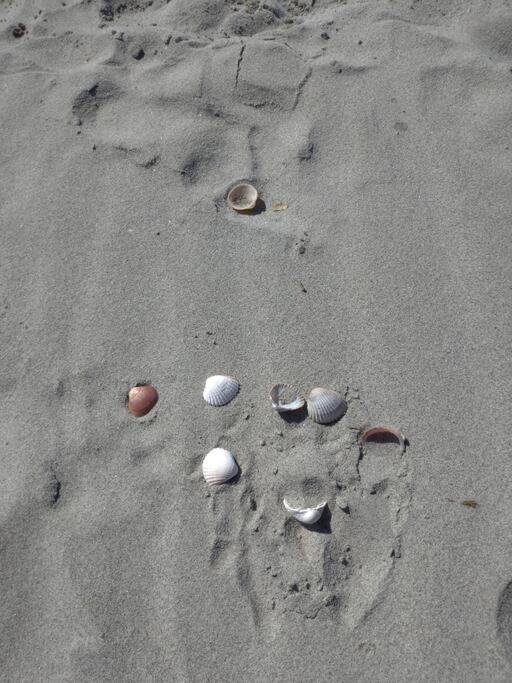Appartamento Miramare