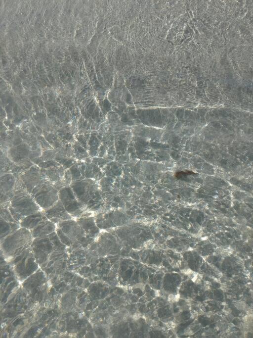 Appartamento Miramare