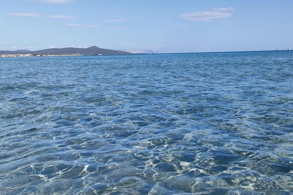 Appartamento Miramare