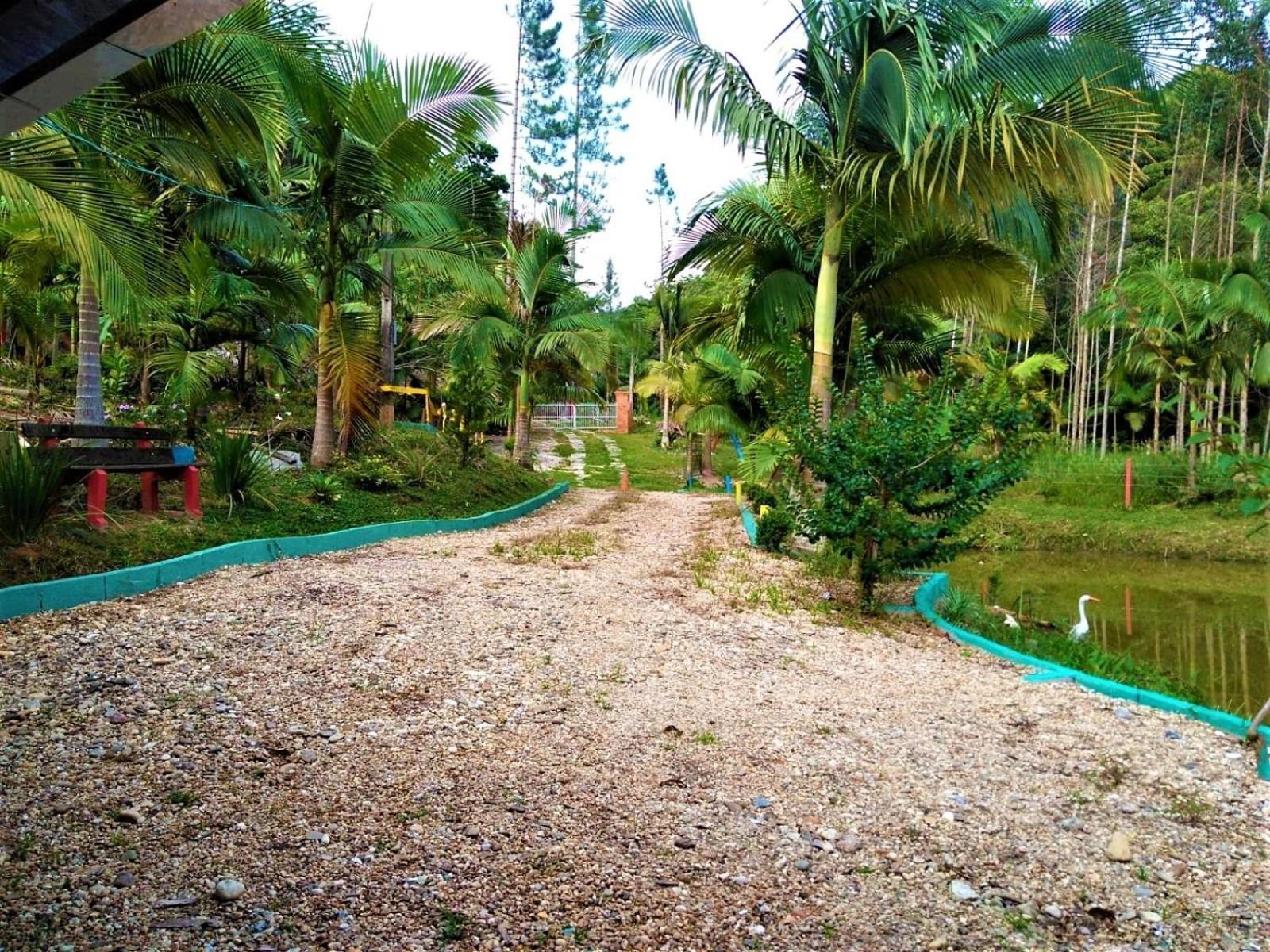 Sitio Libardo em Meio a Natureza - Nova Trento