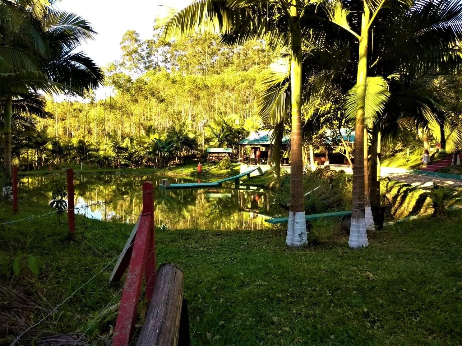 Sitio Libardo em Meio a Natureza - Nova Trento