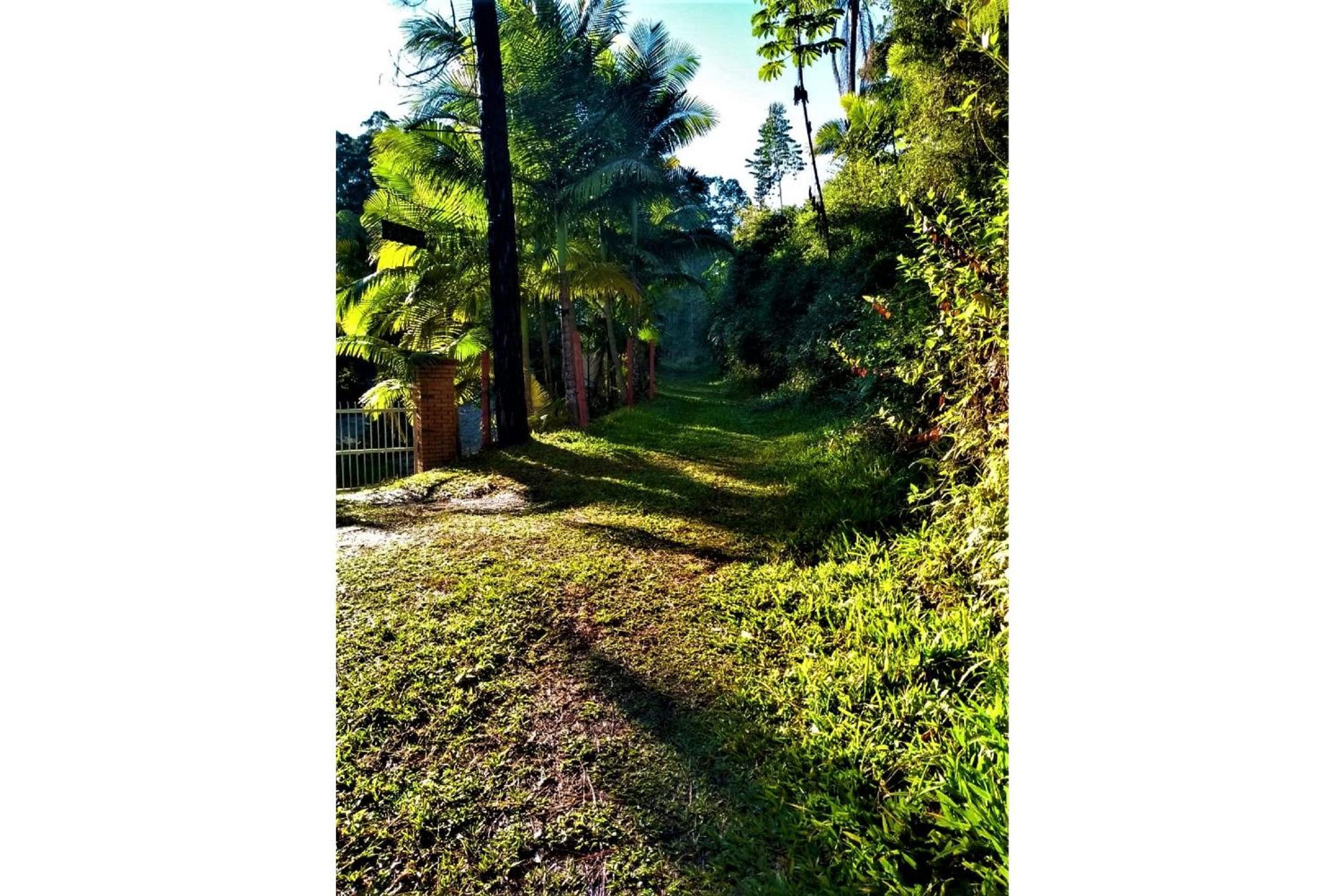 Sitio Libardo em Meio a Natureza - Nova Trento