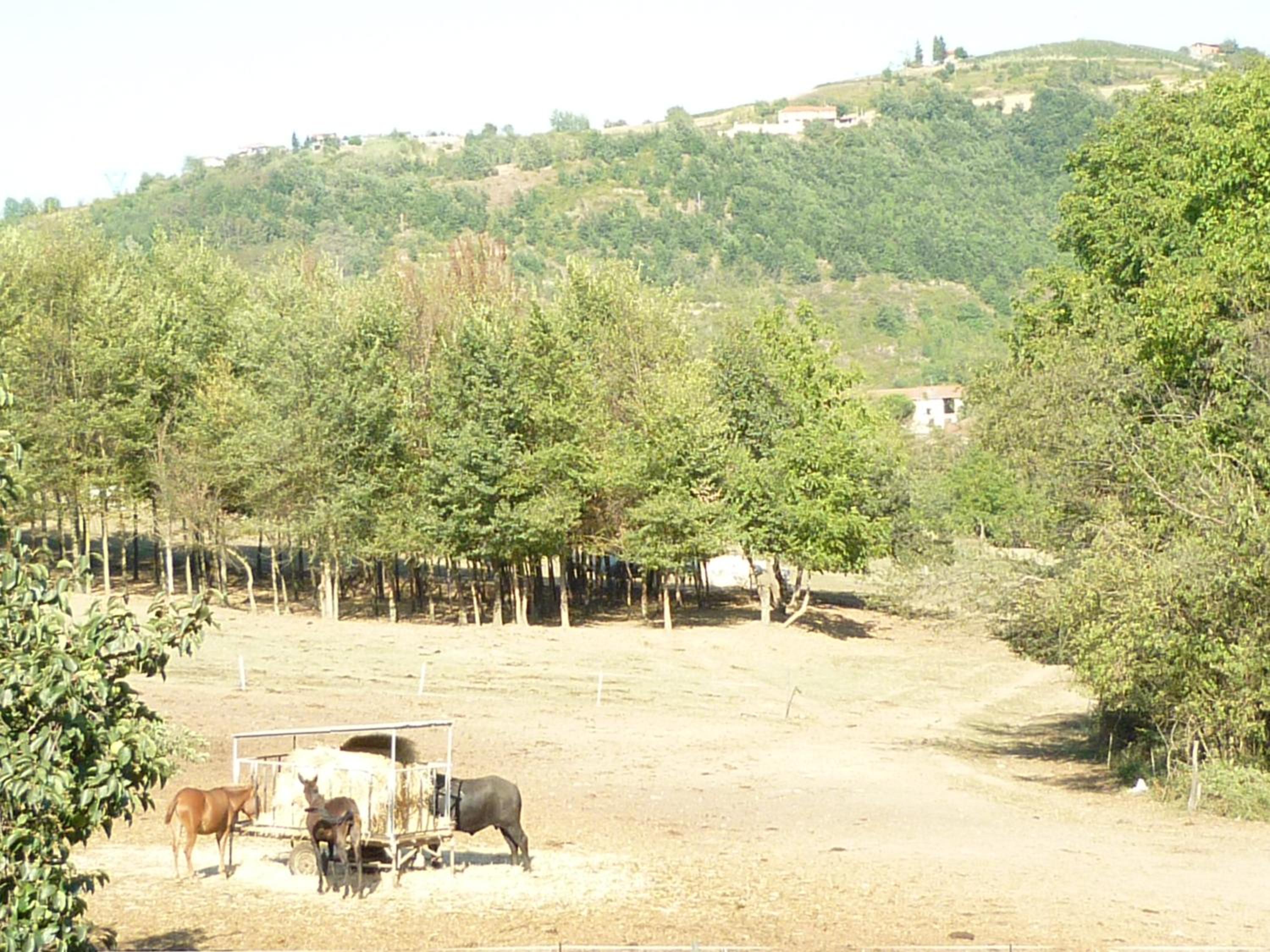Il Grappolo In Langa view 4