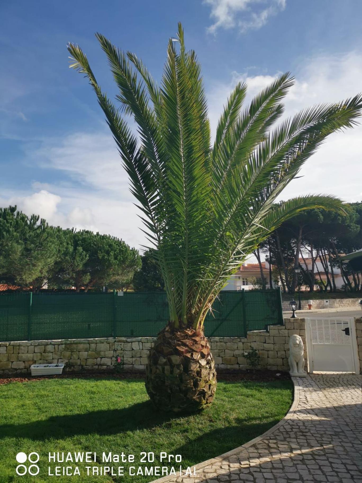 Villa Lala