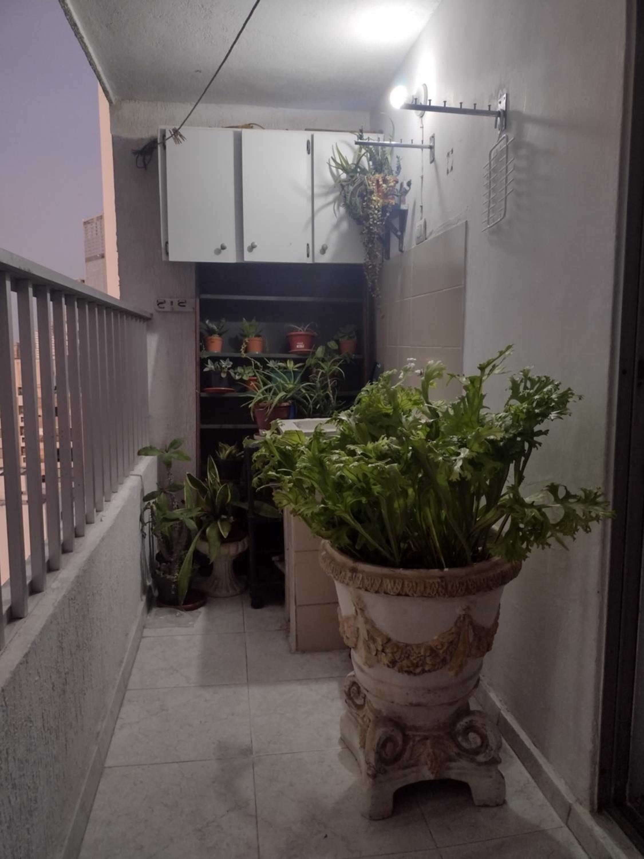 Photo 36