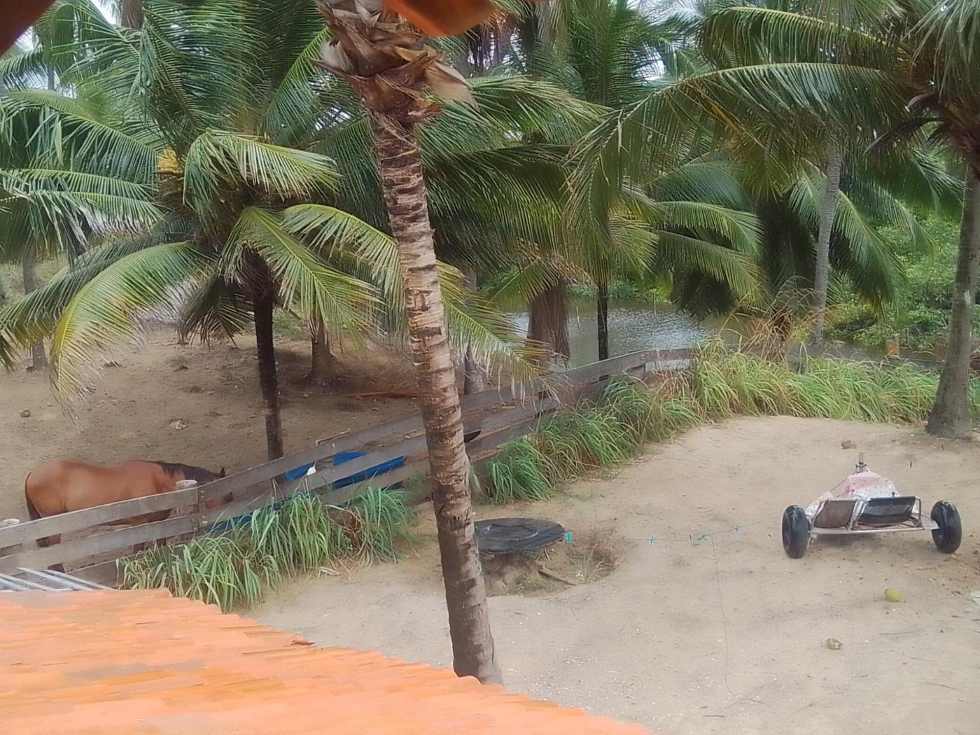 B&B Beach House Pousada Exclusiva pés na água Pontal do Peba única em Alagoas