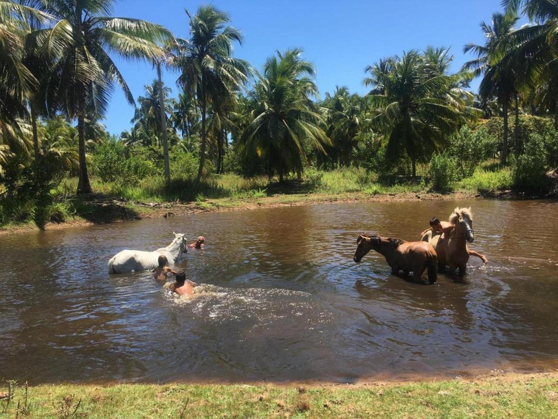 B&B Beach House Pousada Exclusiva pés na água Pontal do Peba única em Alagoas