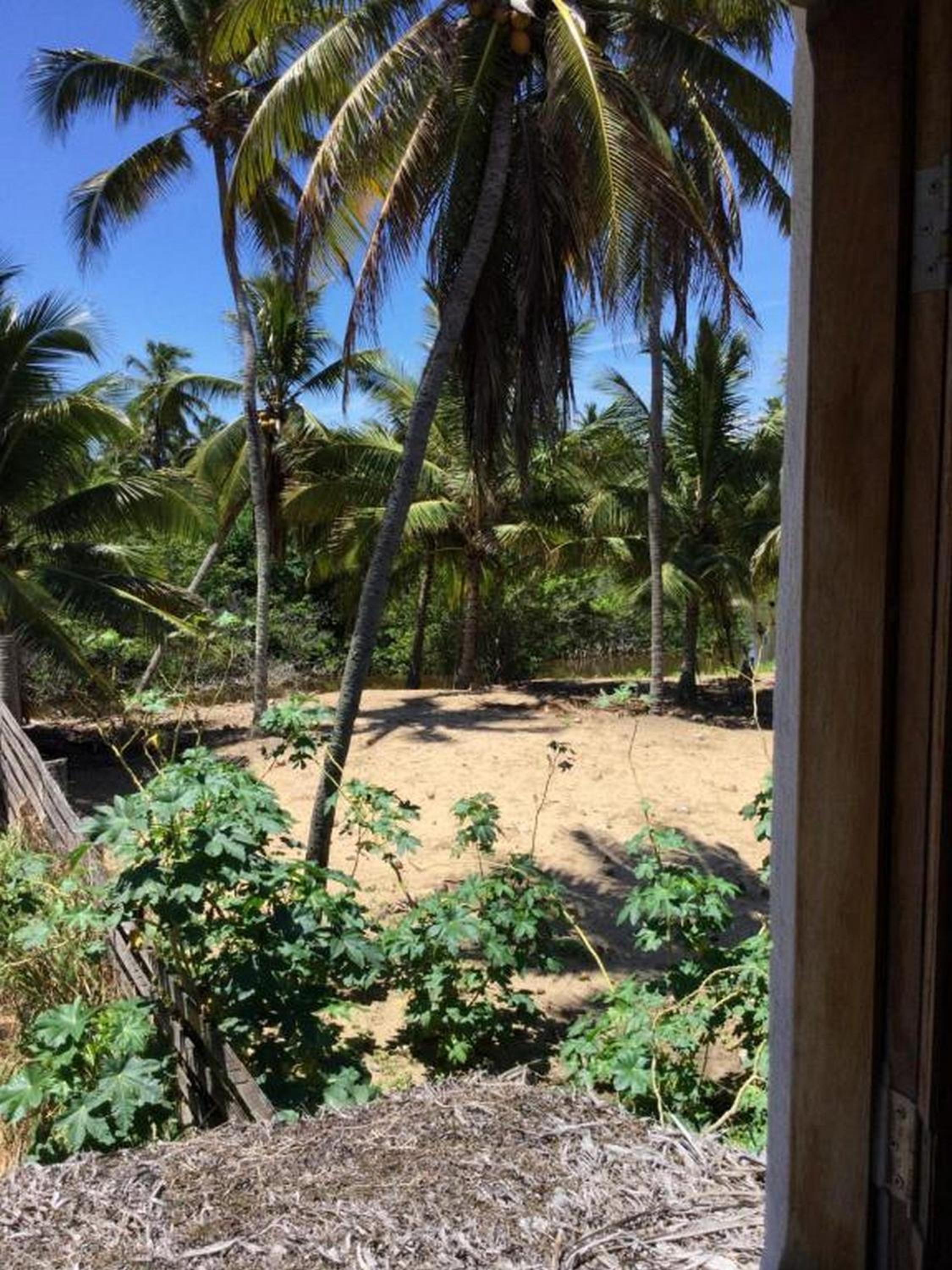 B&B Beach House Pousada Exclusiva pés na água Pontal do Peba única em Alagoas