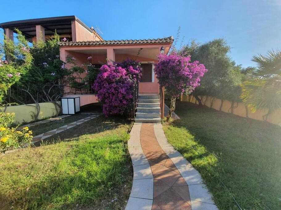 Casa Vacanze l'Olivastro view 3
