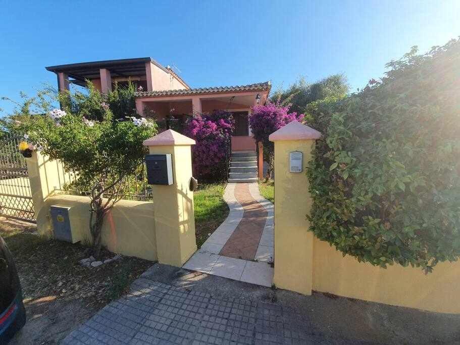 Casa Vacanze l'Olivastro view 4