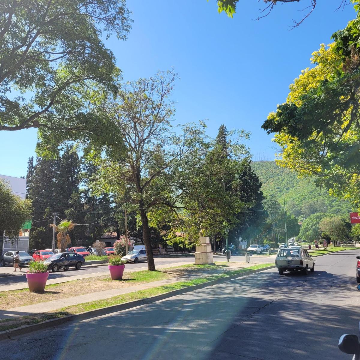 Salta Hills